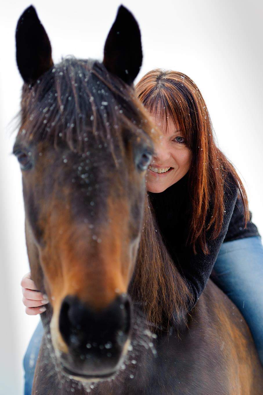 hest